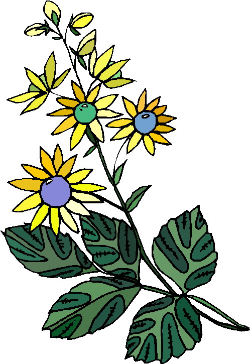 Plants Clip Art