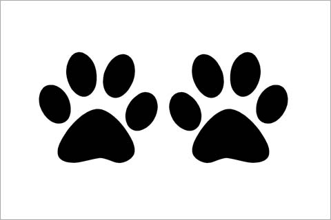 Huellas de gato vector - Imagui