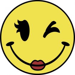 Sexy Wink Girl Smiley Face Car Sticker (smilie) : Vehicle Grafix