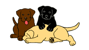 Dog and Puppy Running, Playing And Eating Animations