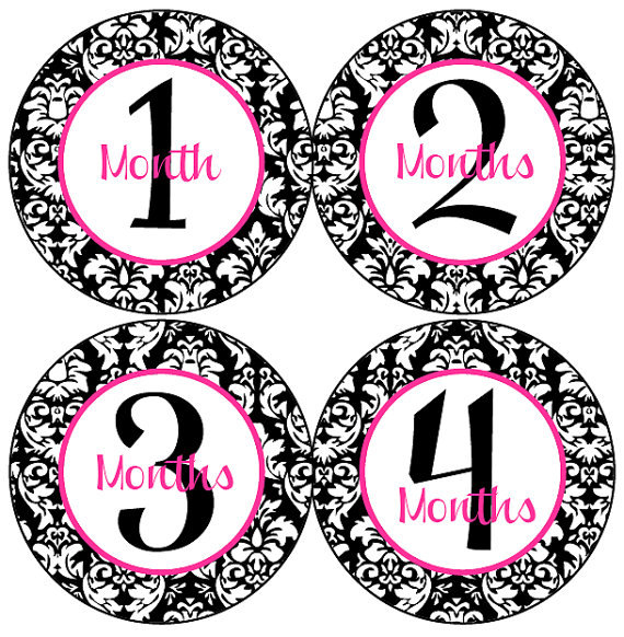Baby Month Stickers Baby Girl Monthly Stickers Hot Pink and Black ...