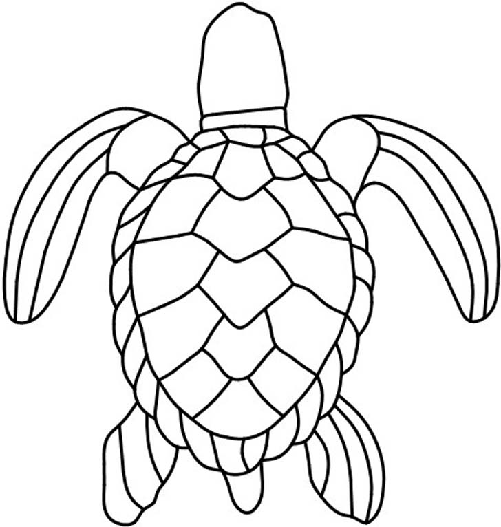 Sea Turtle Outline