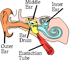 Sense of Sound on emaze