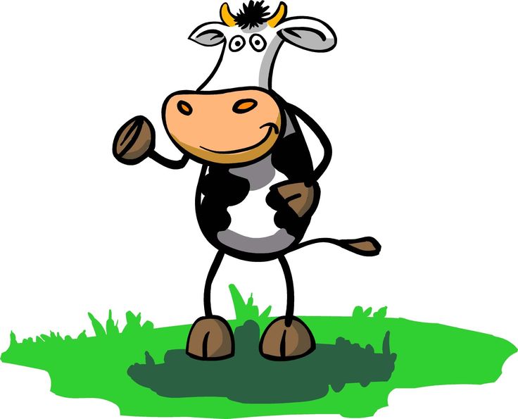 1000+ images about Moo