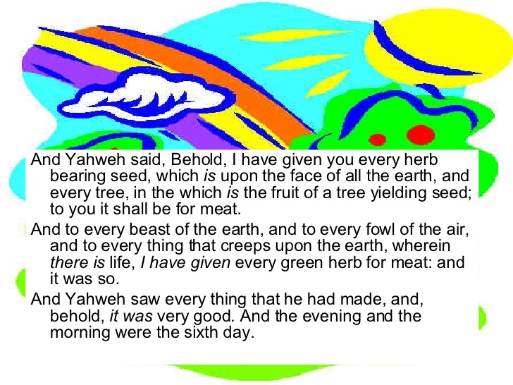 7 days of creation
