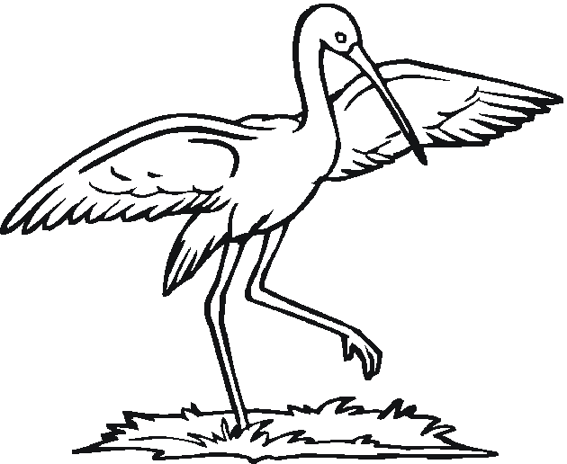 Free Birds Coloring Pages - Stork