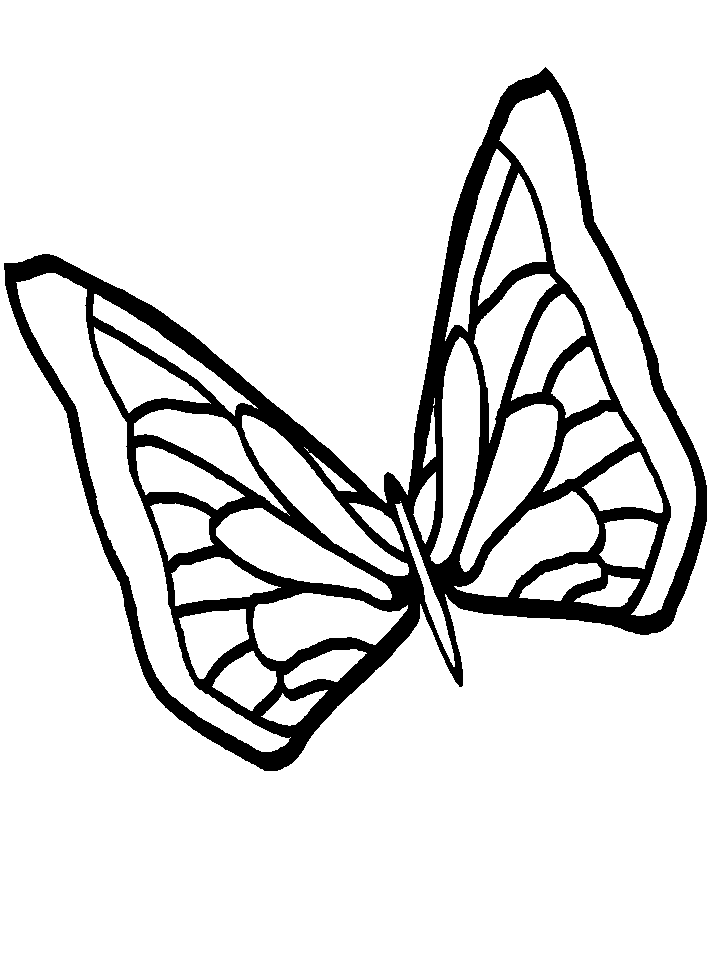 534 views Butterfly Drawing Template - ClipArt Best