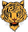 Picasa Web Albums - renny - Vector Clip Art