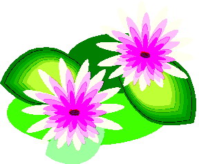Clip Art - Clip art water lily 524407