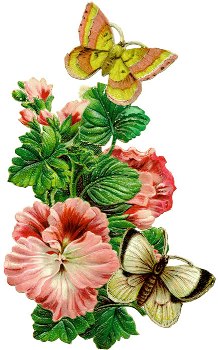 MSM Highlights: Happy Spring