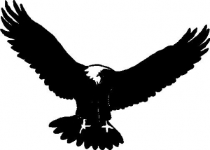 VWLBE010(EAGLE WINGS SPREAD): Bowtree Store - Buy Bow Hangers ...