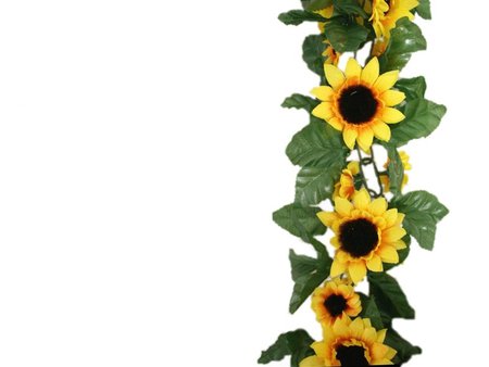 Sunflower border wallpaper - Flowers & Nature Background ...