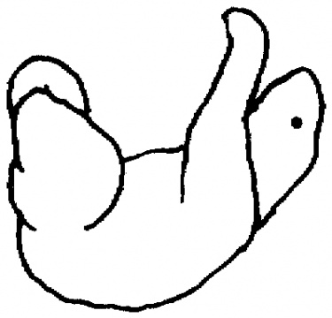 Sloth Outline coloring page | Super Coloring