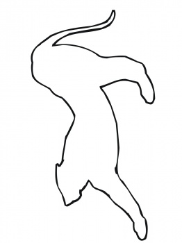 Cougar Outline coloring page | Super Coloring