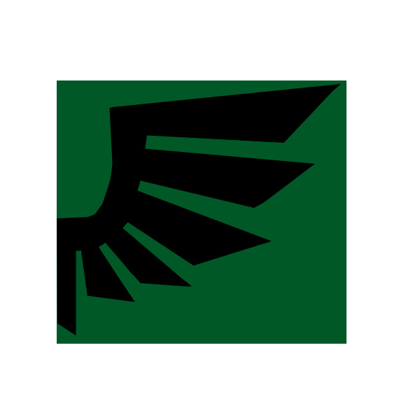 SincaiN40K: Take, these broken wings..
