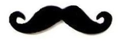 moustache.jpg