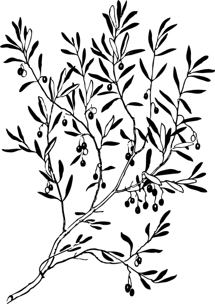 Outline Of A Tree With Branches - ClipArt Best