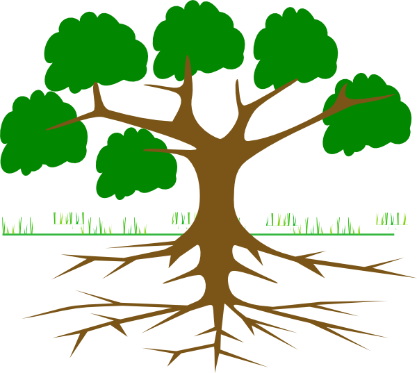 Tree clip art - vector clip art online, royalty free & public domain