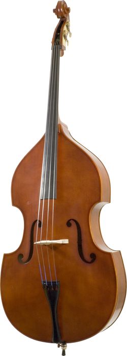 Florea Lupeni Double Bass Outfit | WWBW