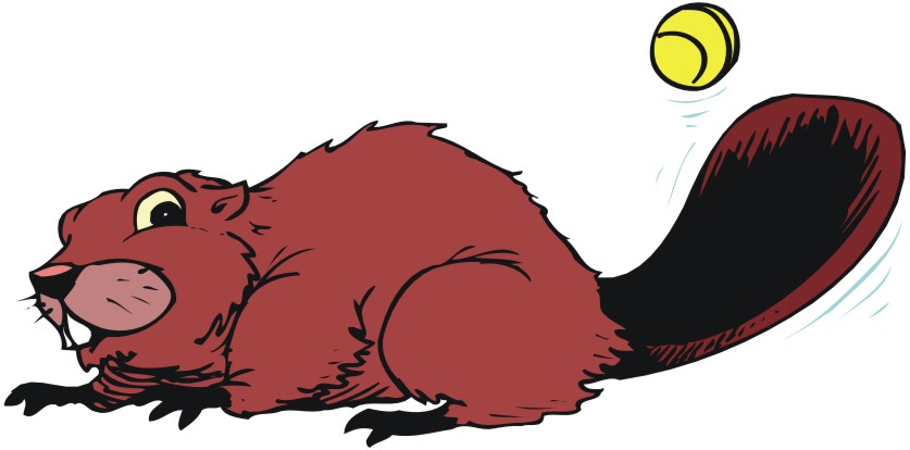 Cartoon Animals