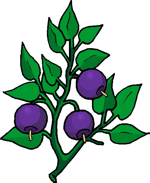 Plants Clip Art