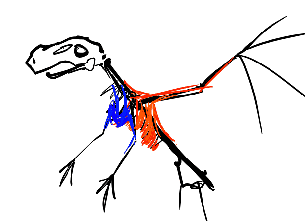 dragon gif images image search results