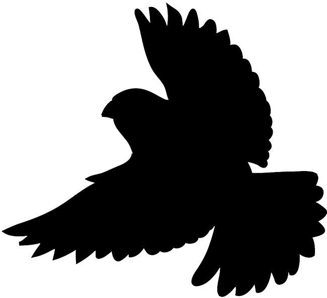 Bird Silhouettes