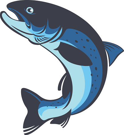 Rainbow Trout Clip Art, Vector Images & Illustrations