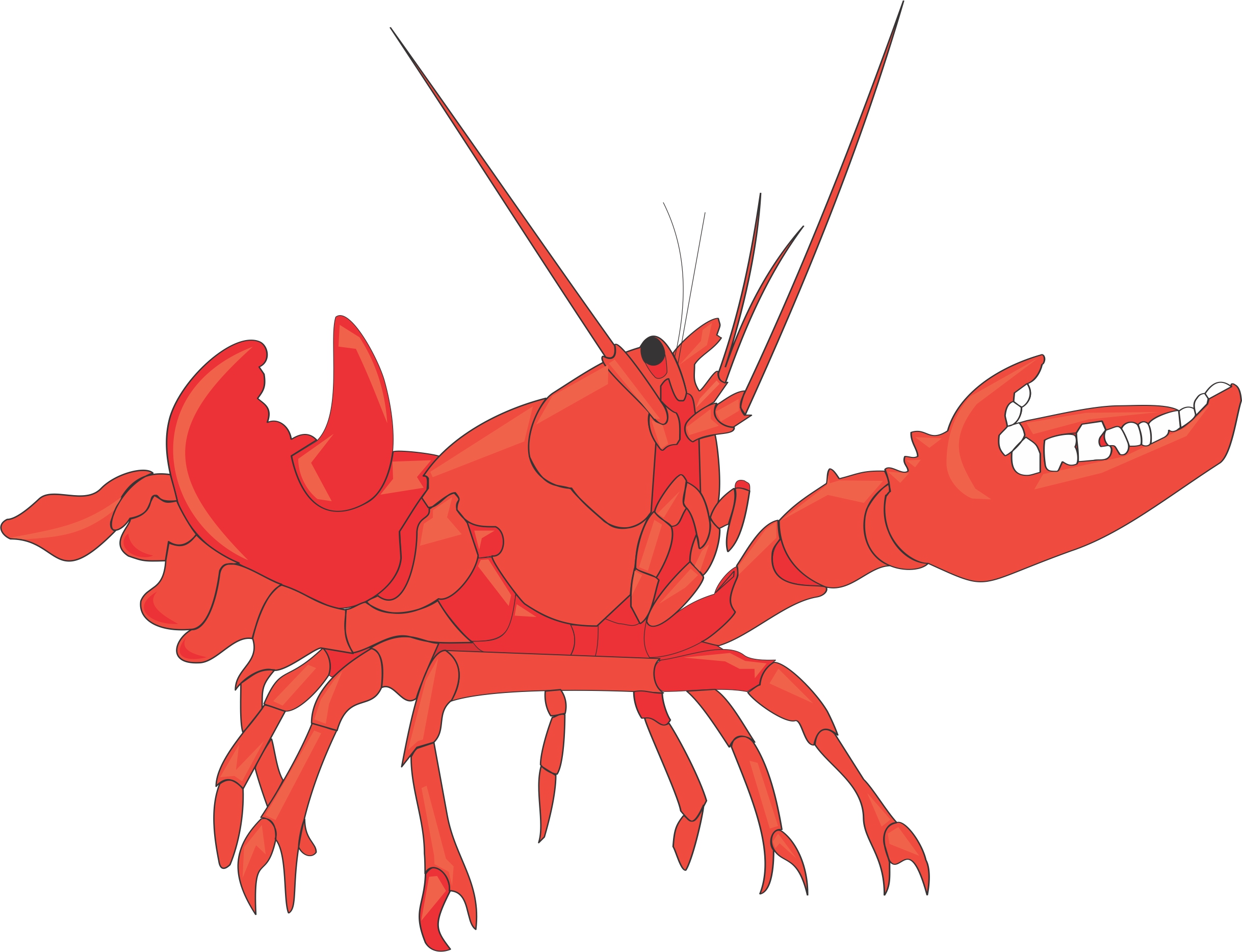 Cartoon lobster cofocolorhd cliparts - Clipartix