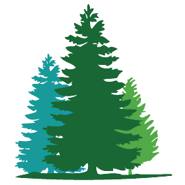 Fir tree clip art