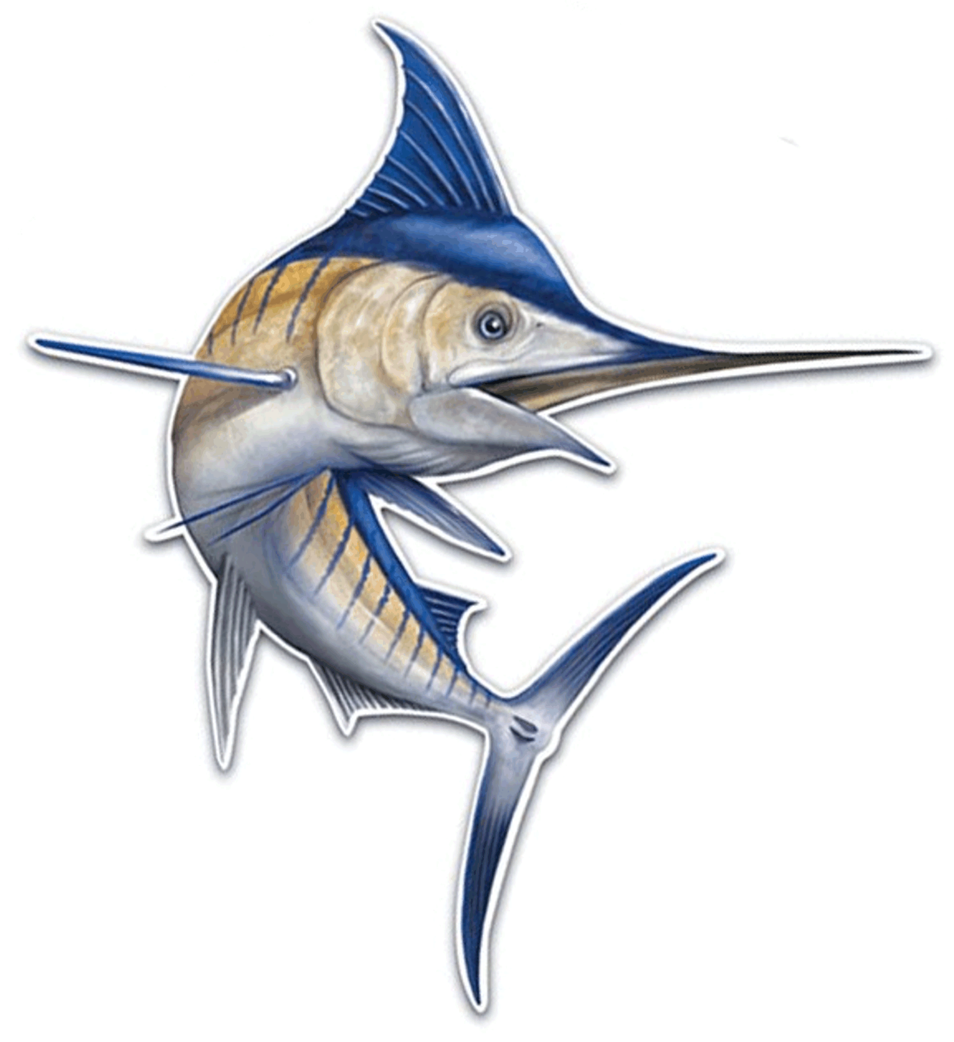 Blue and Blue marlin