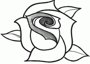 How to Sketch a Rose, Step by Step, Sketch, Drawing Technique ...