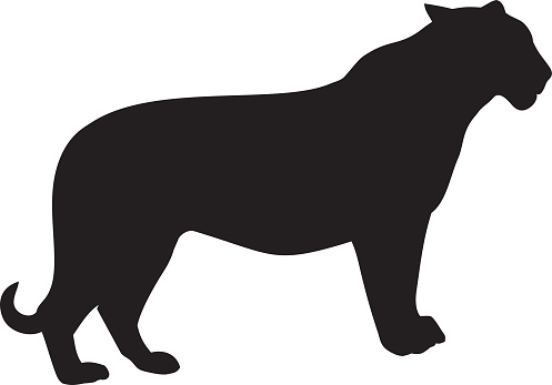 Clip Art Of A Wildcat Emblem Clip Art, Vector Images ...