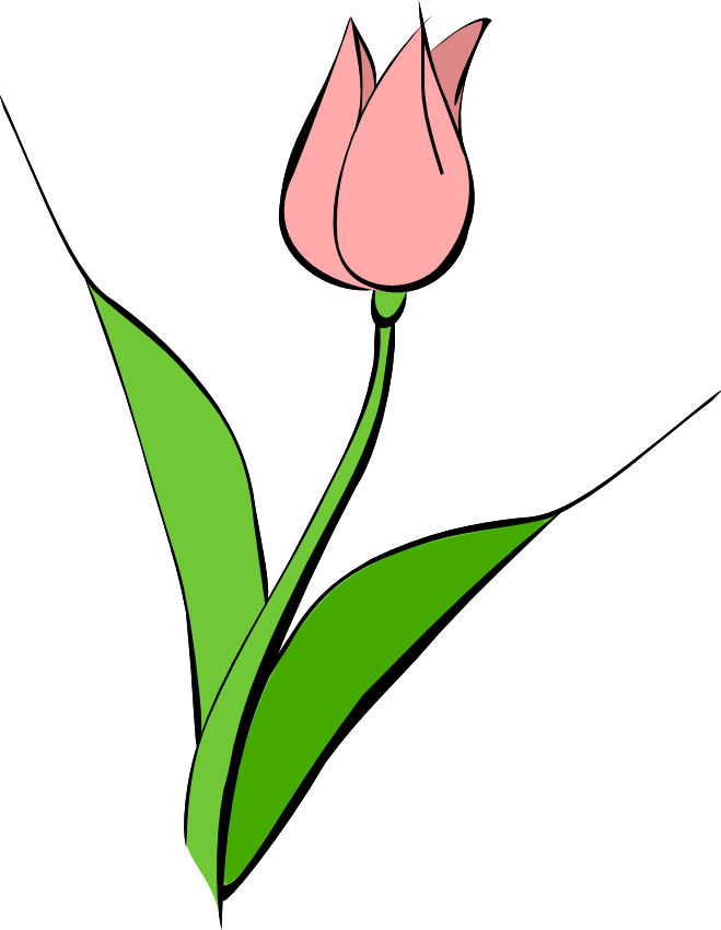 Red Tulip Images | Free Download Clip Art | Free Clip Art | on ...