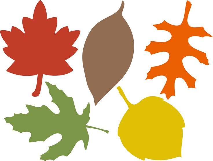1000+ images about Printables Bladeren - Leaves ...