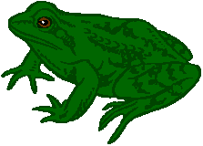 Tadpole Clip Art - ClipArt Best