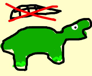 A turtle without a shell