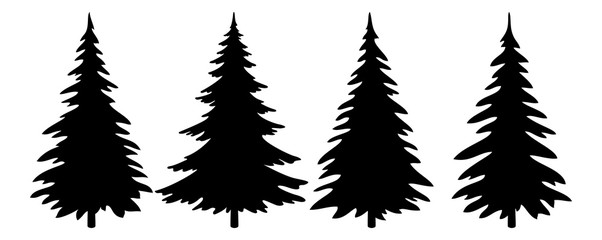 Search photos Category Plants and Flowers > Trees > Pine Tree