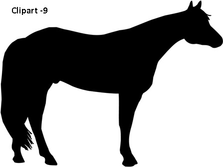 Horse:Memorial Pet Plaque : Engraving services co