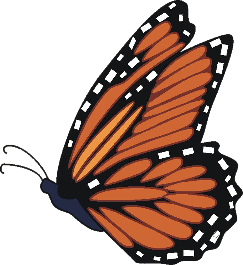 Free animated monarch butterfly clipart