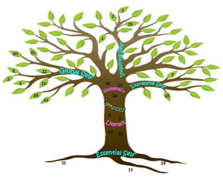 1000+ images about Tree images