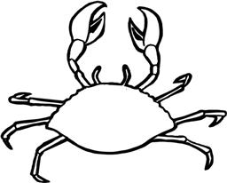 Animal Template Category Page 11 - sawyoo.com