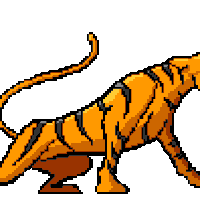 Animated Tiger Pictures, Images & Photos | Photobucket