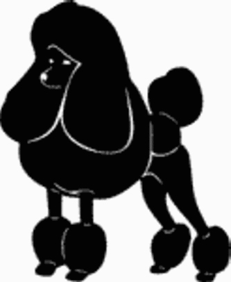 Cartoon Poodle Pictures