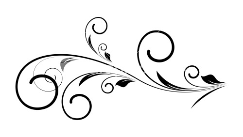 Swirl Vector