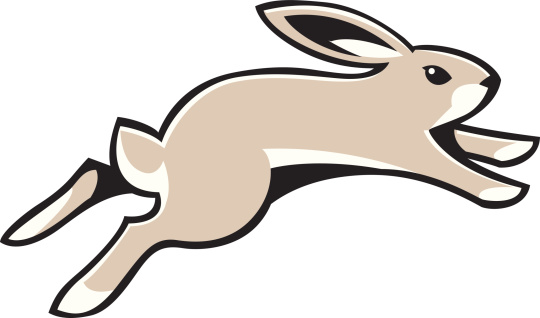 Jackrabbit Clip Art, Vector Images & Illustrations