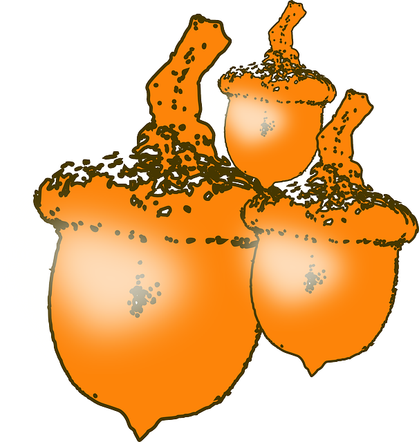 FOOD, FRUIT, TREE, ACORN, CARTOON, PLANT, NUT, NUTS - Public ...