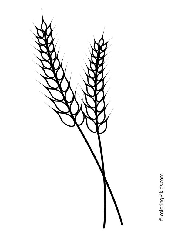 Coloring, Coloring pages for kids and Coloring pages