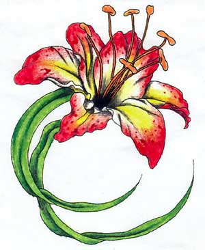 Lily Flower Tattoo Ideas - ClipArt Best