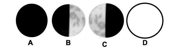 Moon Phases Clip Art 51123 | NANOZINE